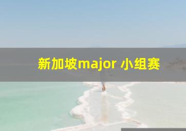 新加坡major 小组赛